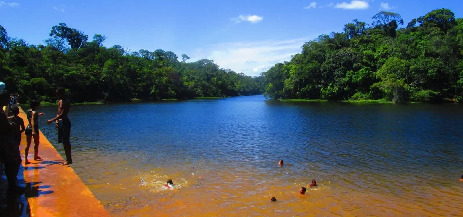 Trilha no Parque São Bartolomeu - Foto 1