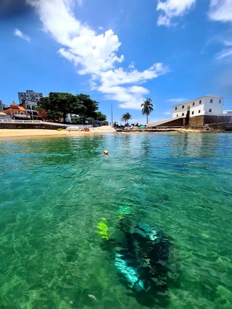 Mergulho na Barra - Foto 1